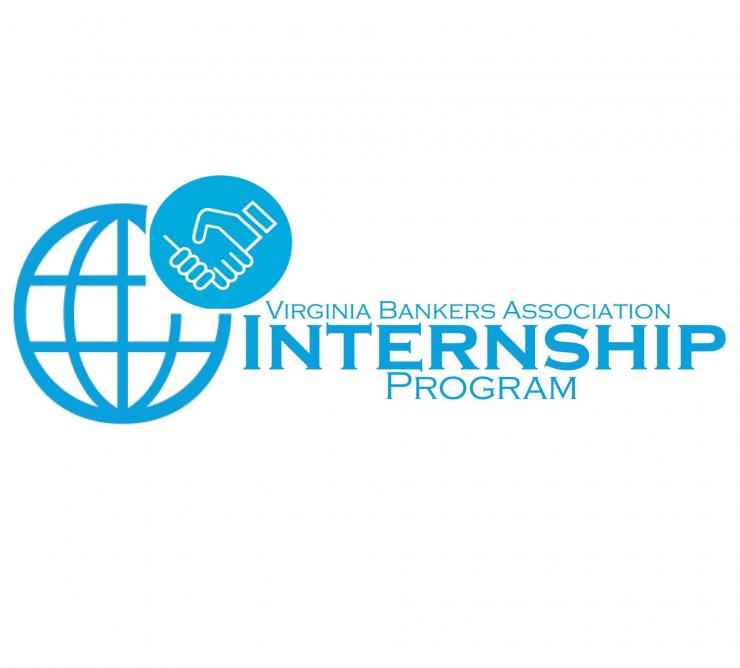 VBA Internship Program logo